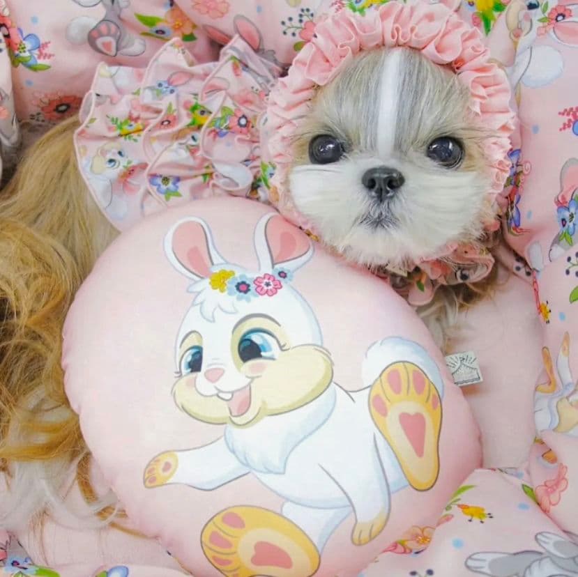 B　XS4点セット+クッション　サーカスサーカスCIRCUSCIRCUS