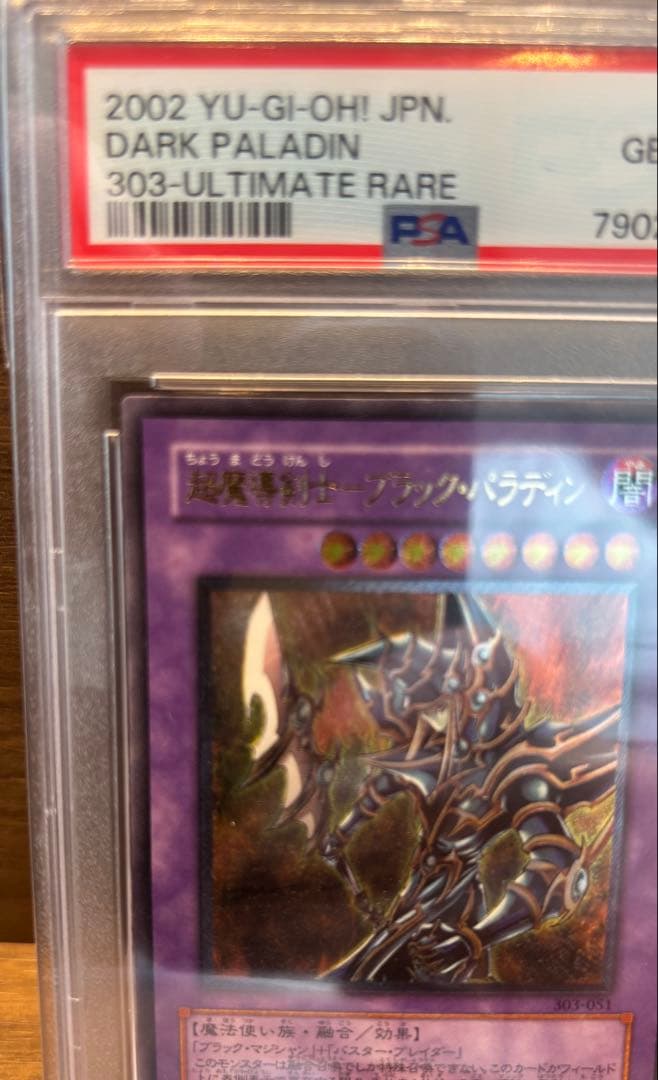 遊戯王　ブラックパラディン　レリーフ　psa10
