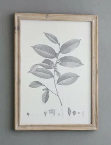 額絵 植物 アートフレーム 4枚セット ボタニカル ナチュラル AN-80196