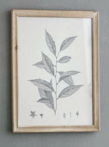 額絵 植物 アートフレーム 4枚セット ボタニカル ナチュラル AN-80196