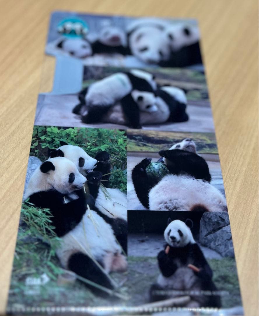 シャオシャオレイレイぬいぐるみセット（マルチケース付き）