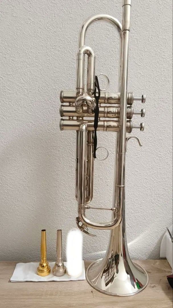 ヤマハトランペット YTR8335RG