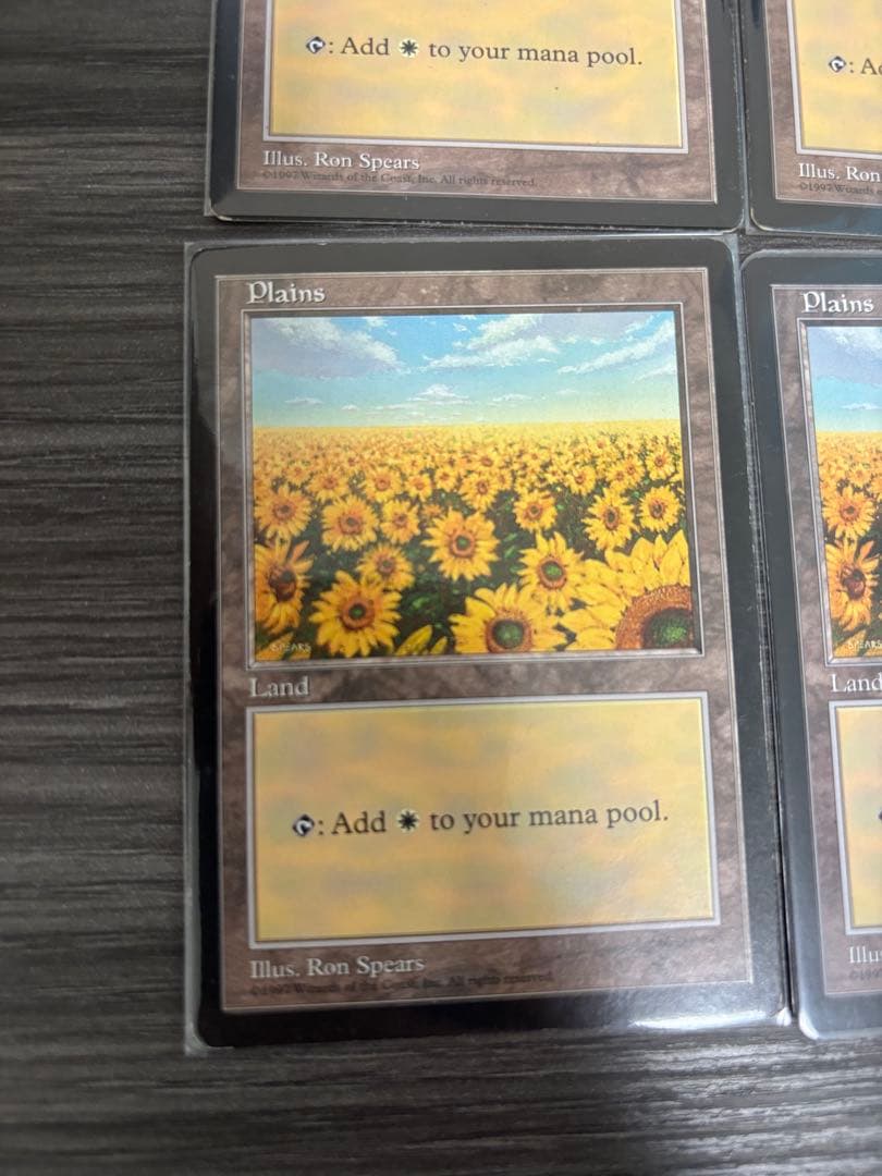 MTG APACランド 平地 ひまわり 6枚セット