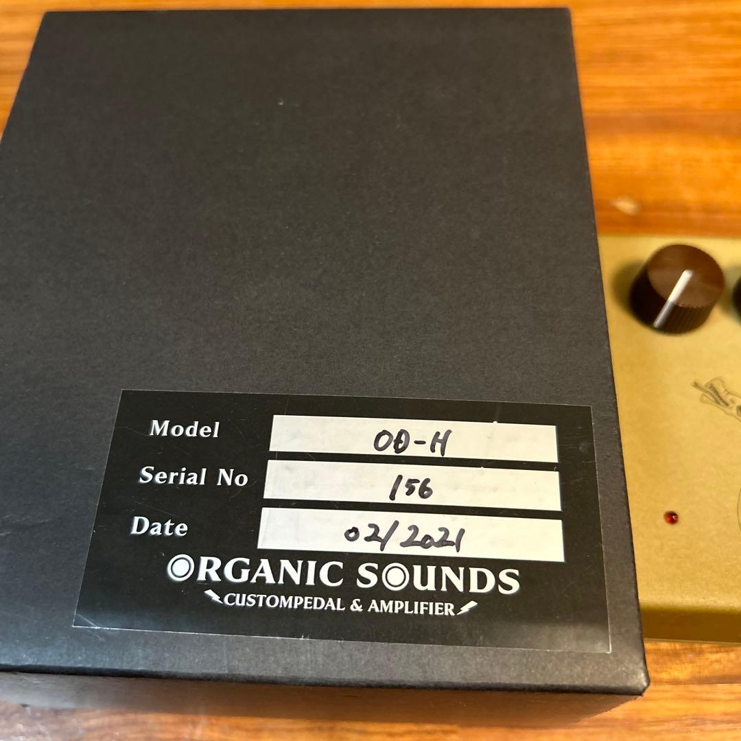 ギター organic sounds hydra