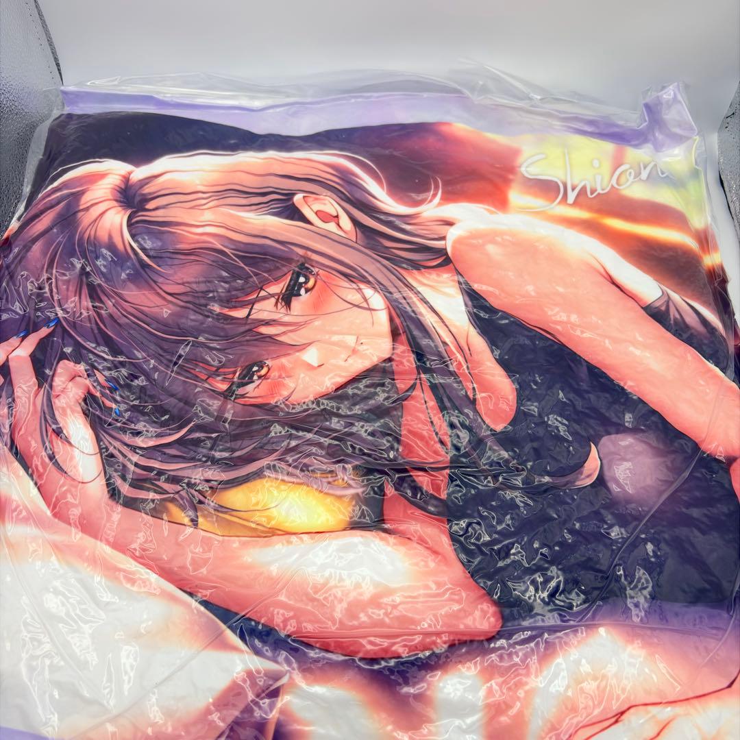 C107 アマカノ　クッション　1