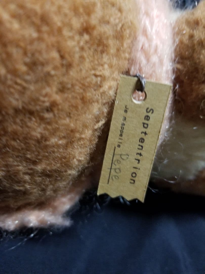 こ*り様 やぐちせいこ様 Septentrion テディベア アーティストベア