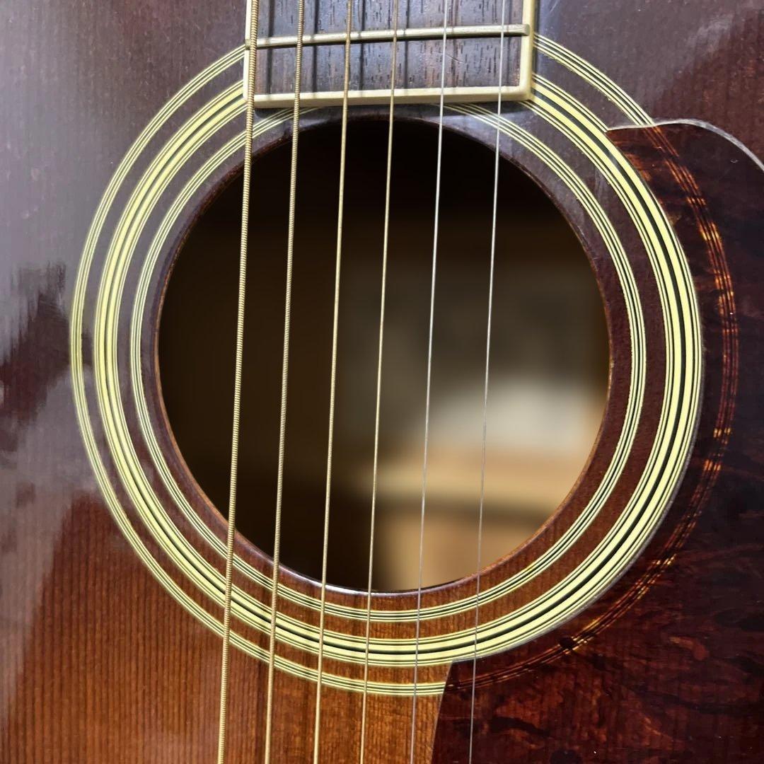 Ibanez Performance PE-15TV ハードケース付