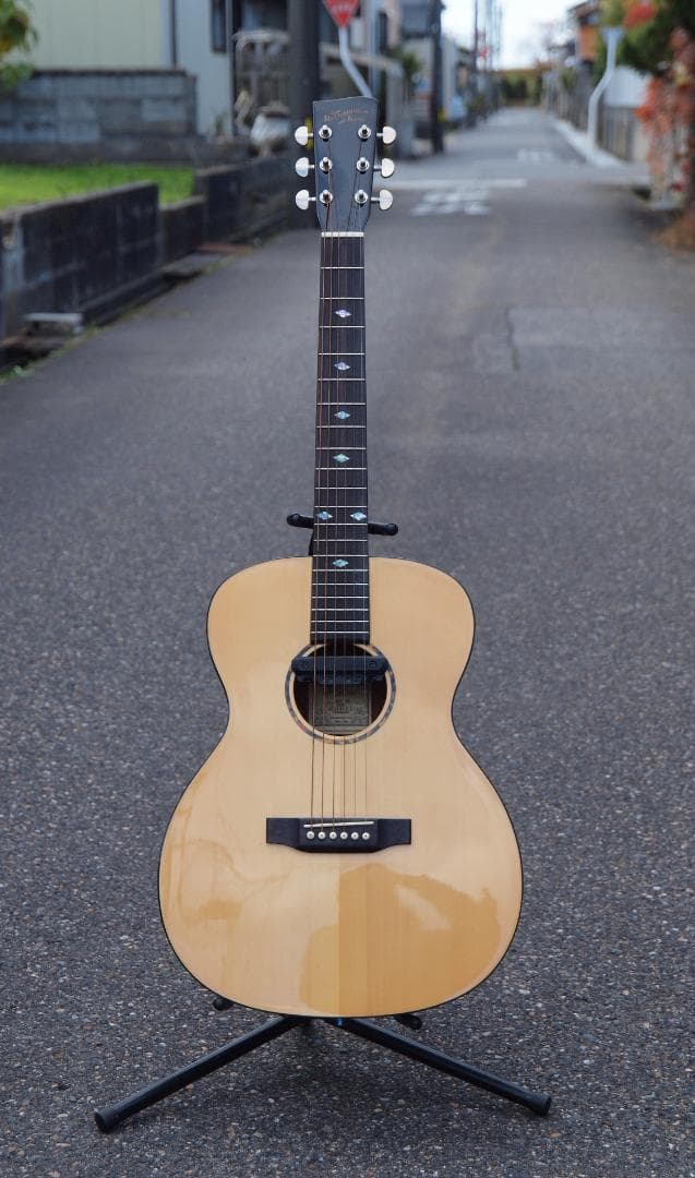 Recording King アコースティックギター RO-G6