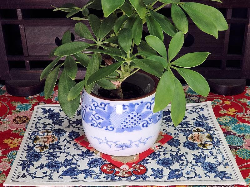 古伊万里　染付　花に唐草の図　火入れ　E613AS-fbqh