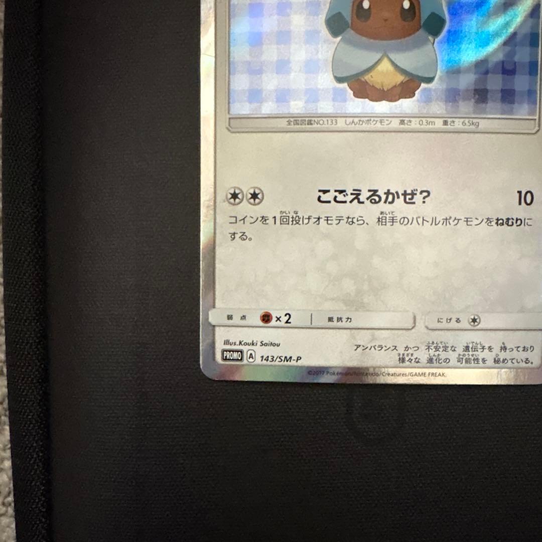 ポンチョを着たイーブイ（グレイシア） PROMO