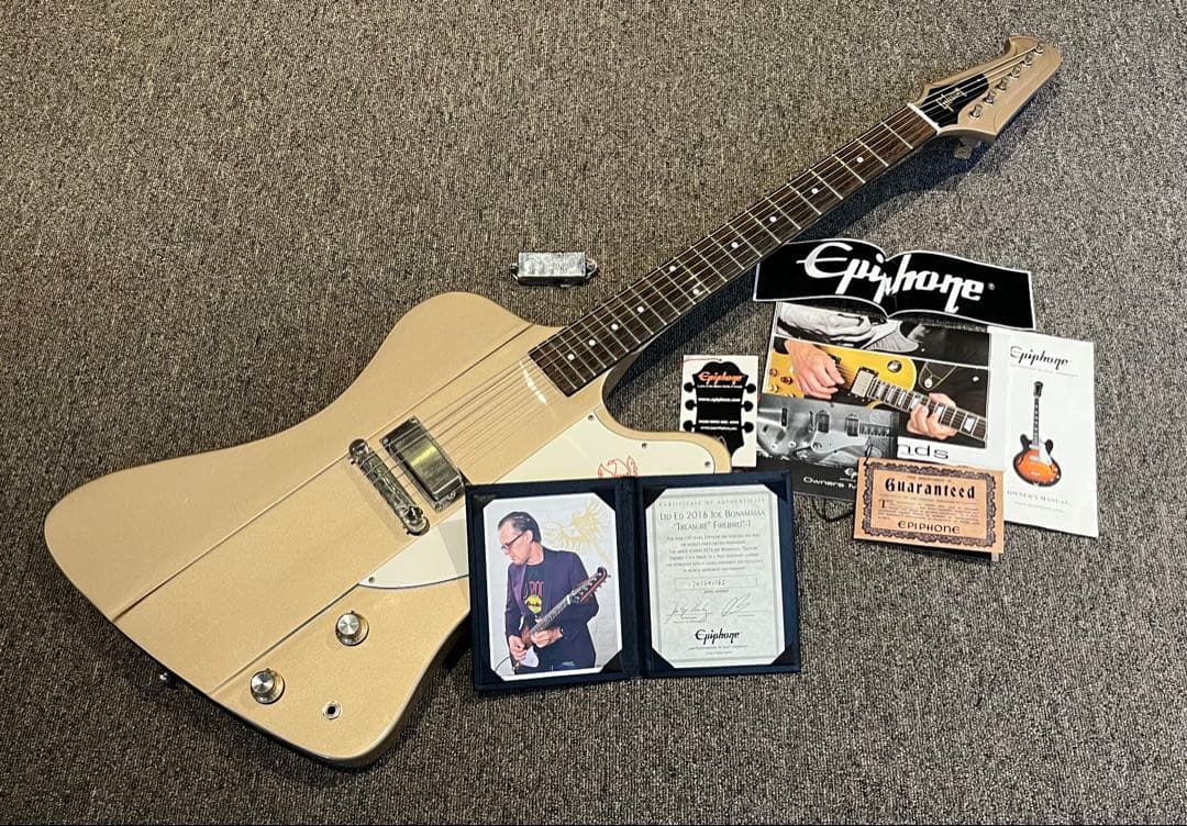 Epiphone Limited Edition firebird 1 中古