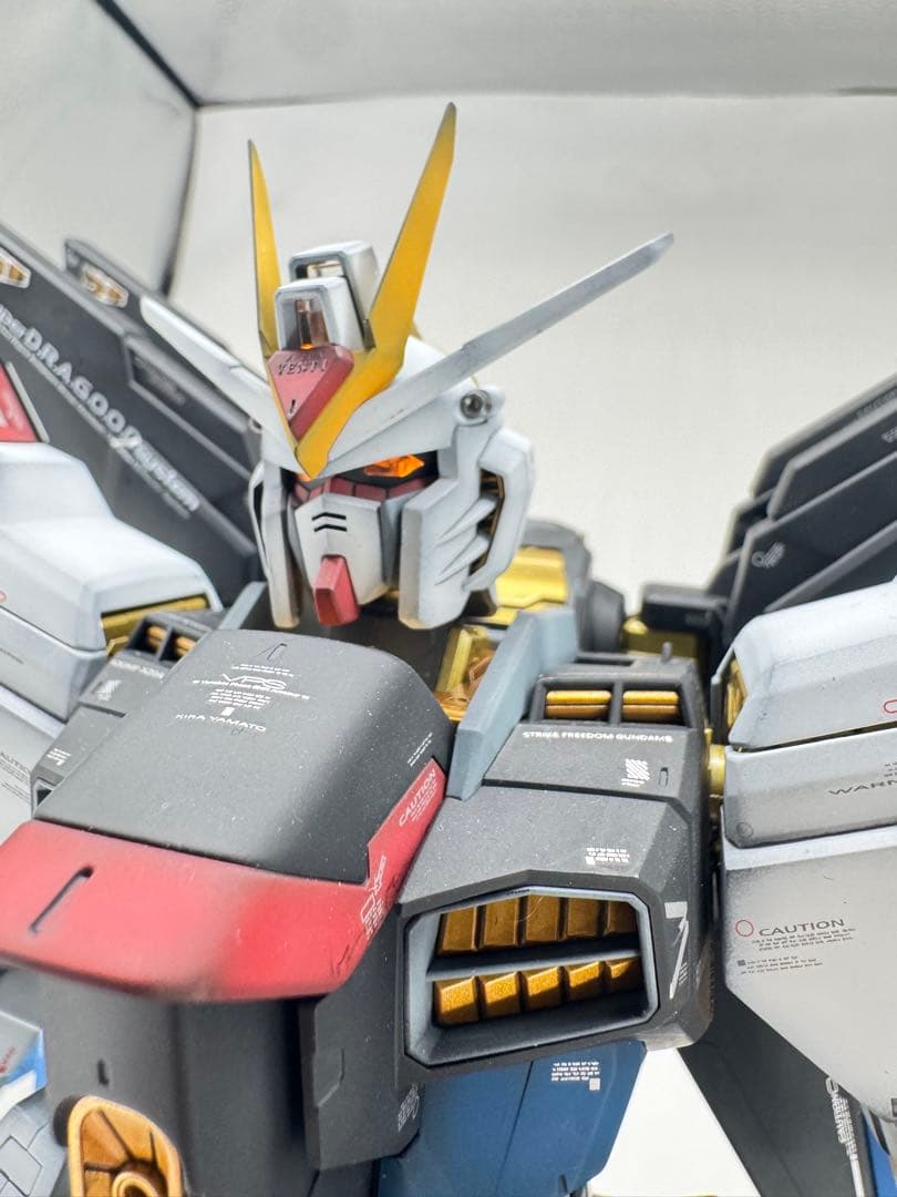 PG ストライクフリーダムガンダム　エアブラシ全塗装　完成品 ガンダムSEED