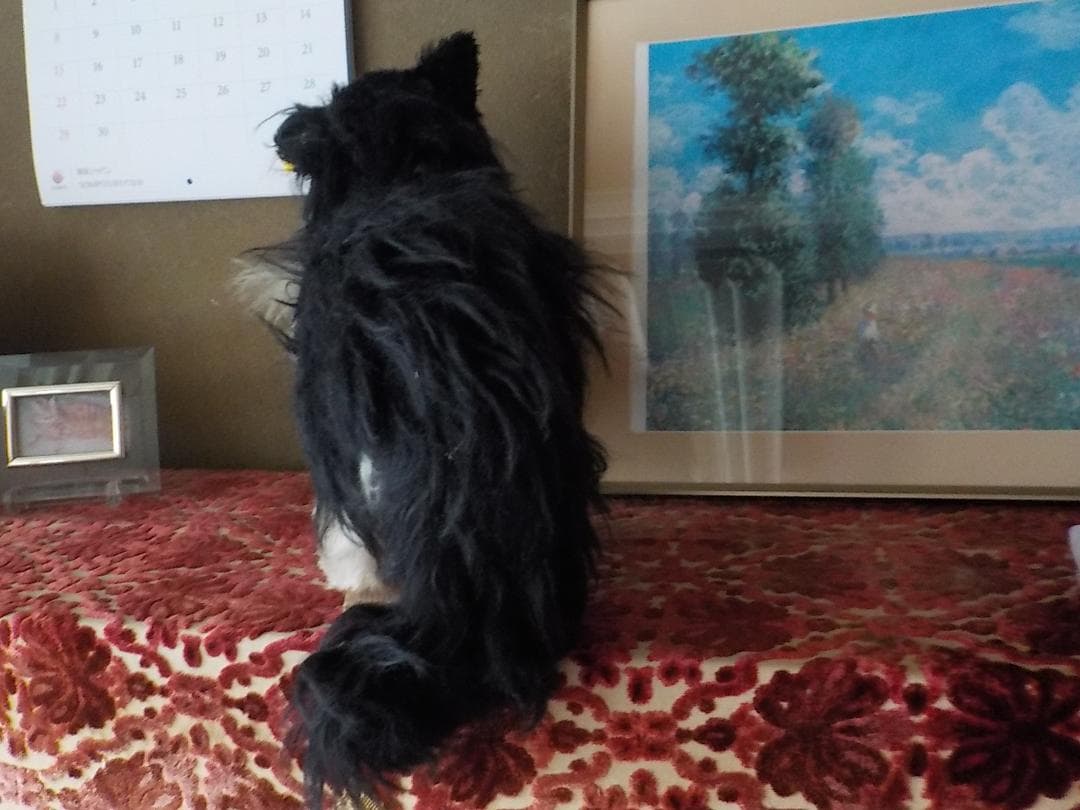 シュタイフ 猫 ぬいぐるみ アンティーク