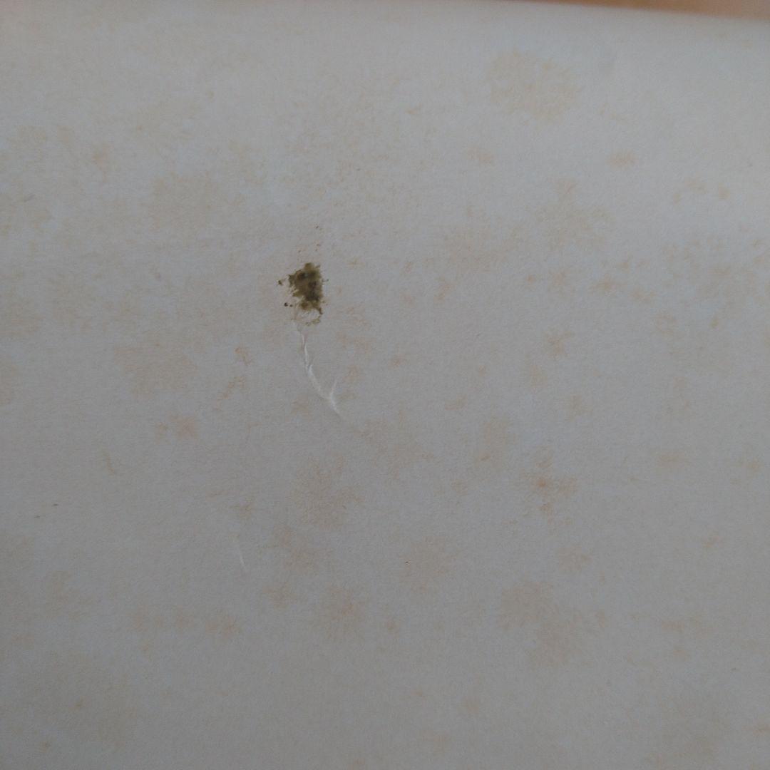 ウイルソンブラザーズ　アナザーナイト（WilsonBros.）　ポスター