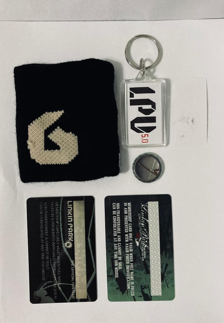 LINKIN PARK UNDERGROUND LPU 5.0 リンキンパーク