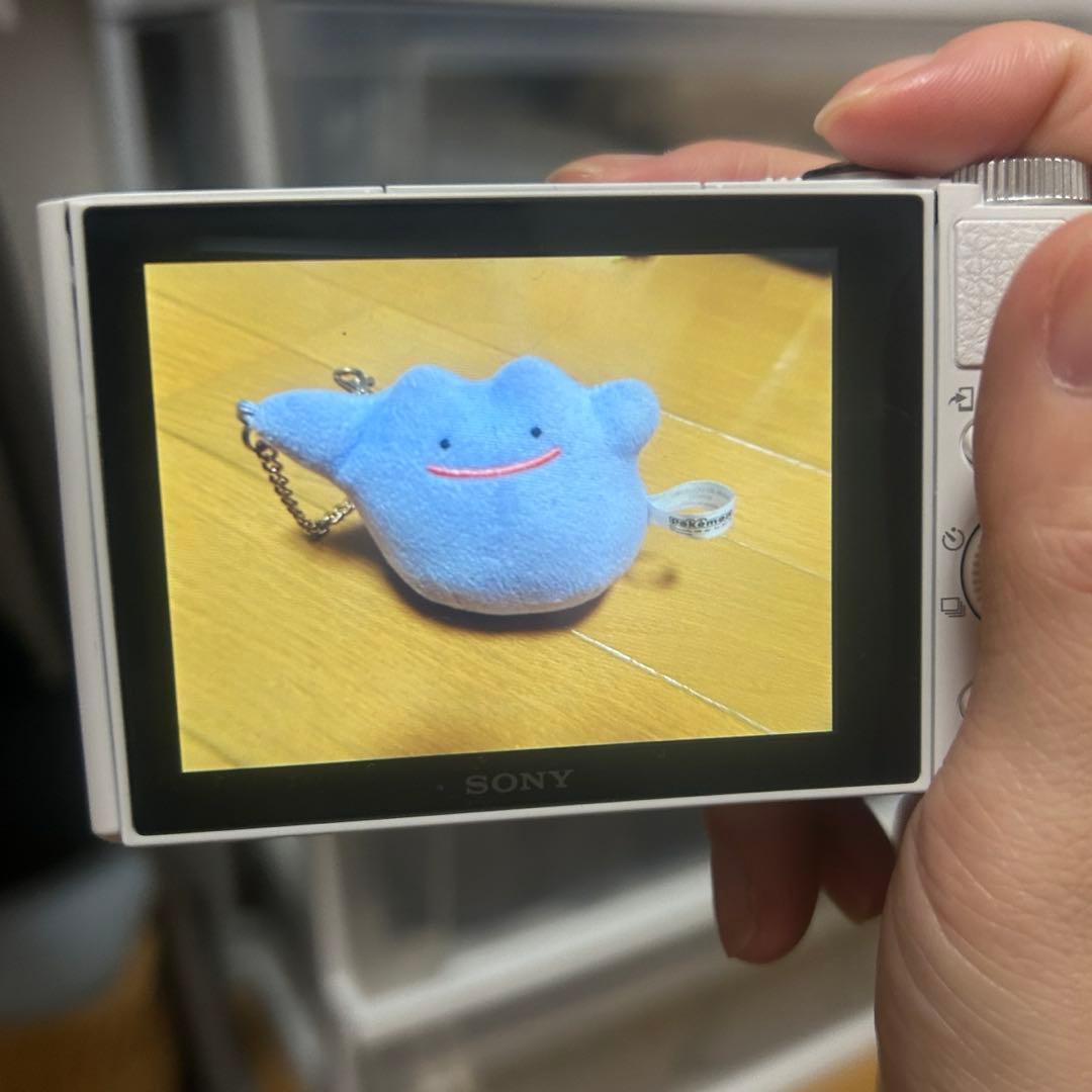 SONY Cyber-shot DSC-WX500 コンパクトデジタルカメラ　白