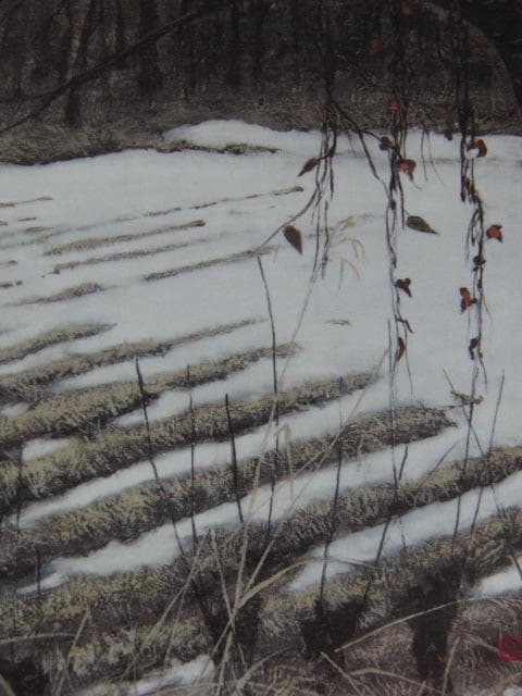 澁澤卿、【今朝の冬】、希少な額装用画集より、新品額装付、状態良好
