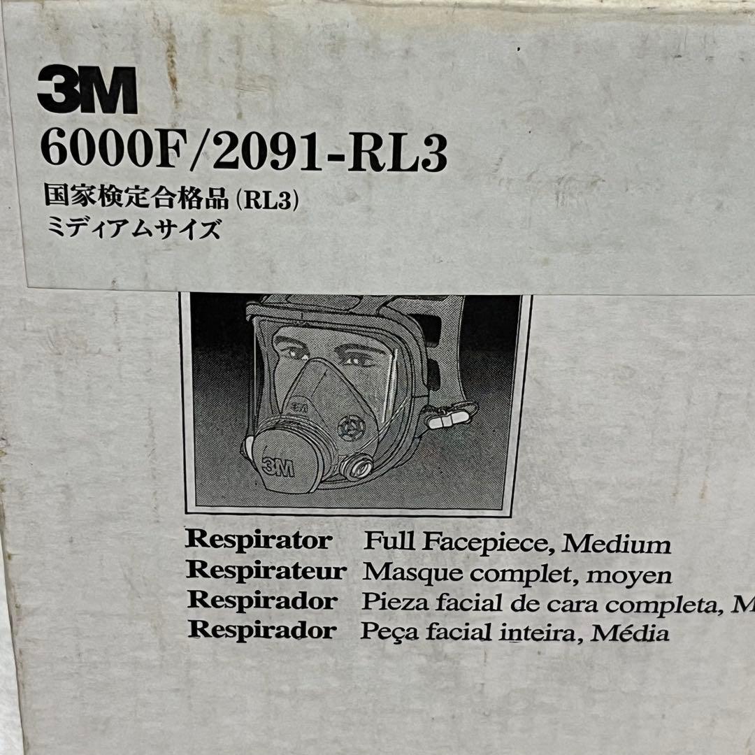 3M 6000F/2091 P100 アスベスト防塵マスク ★スリーエム1個入り