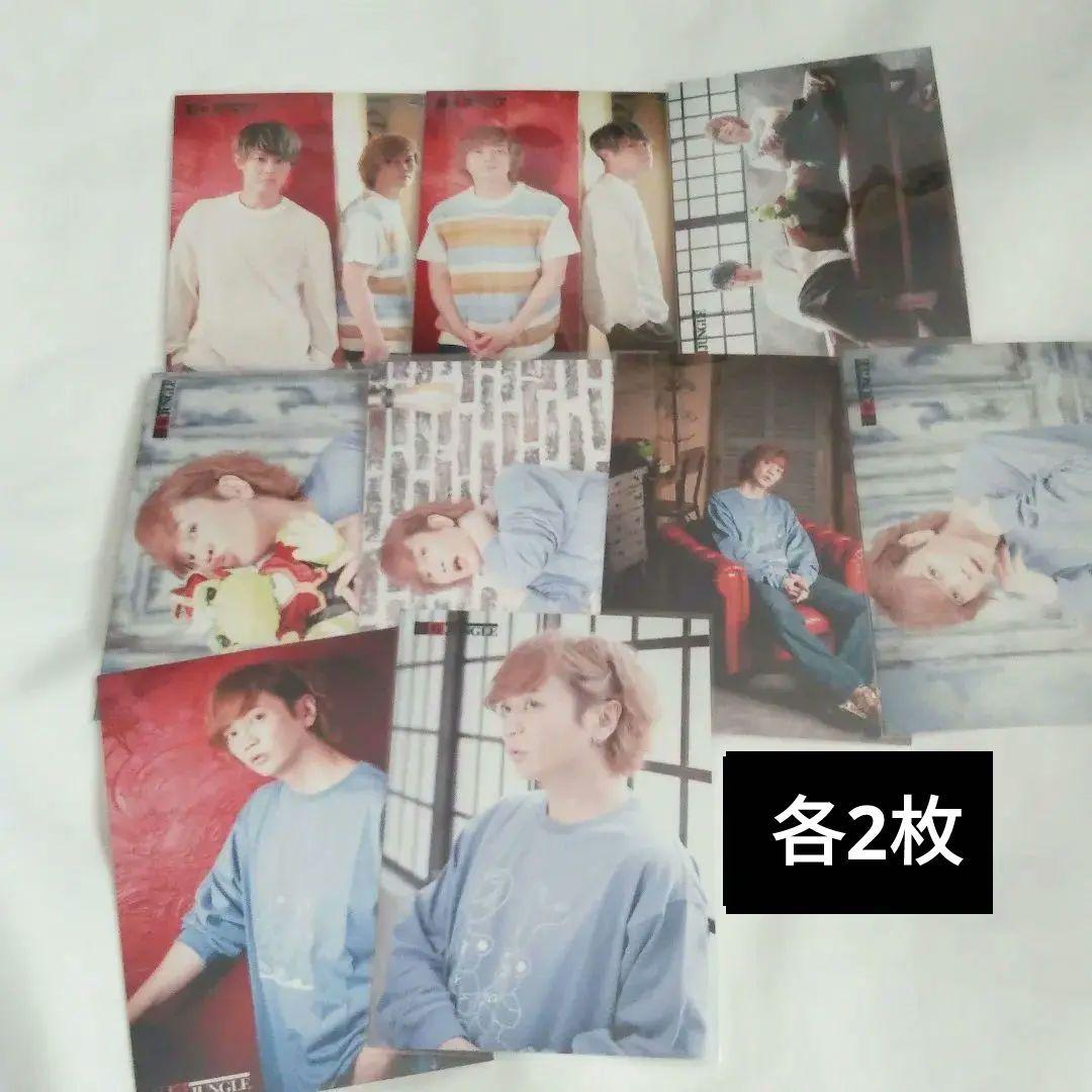 王様ジャングル 追加ブロマイド 浅沼晋太郎 セット