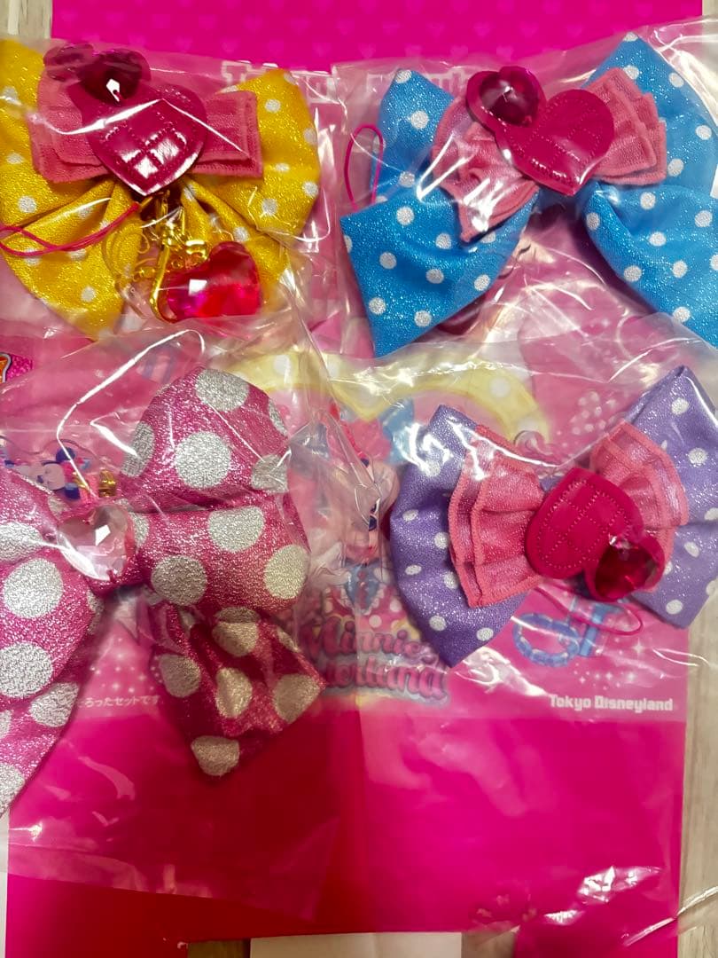 キーチェーン　セット 全4種　ミニーのファンダーランド　ディズニーパルパルーザ