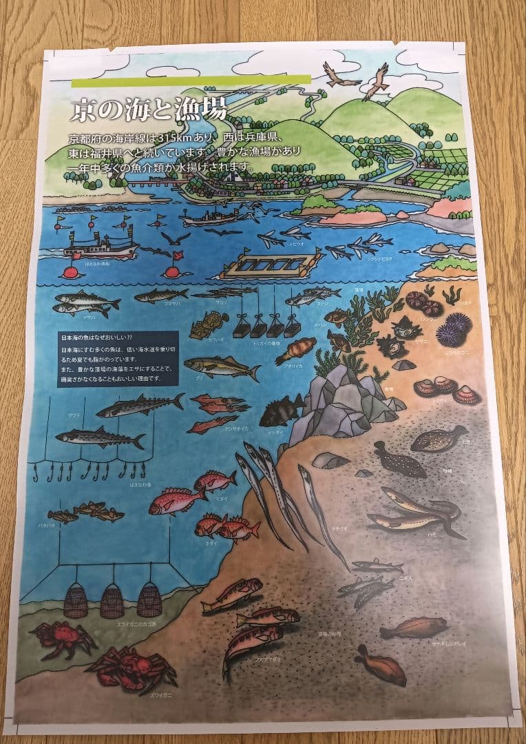魚　ポスター　漁方