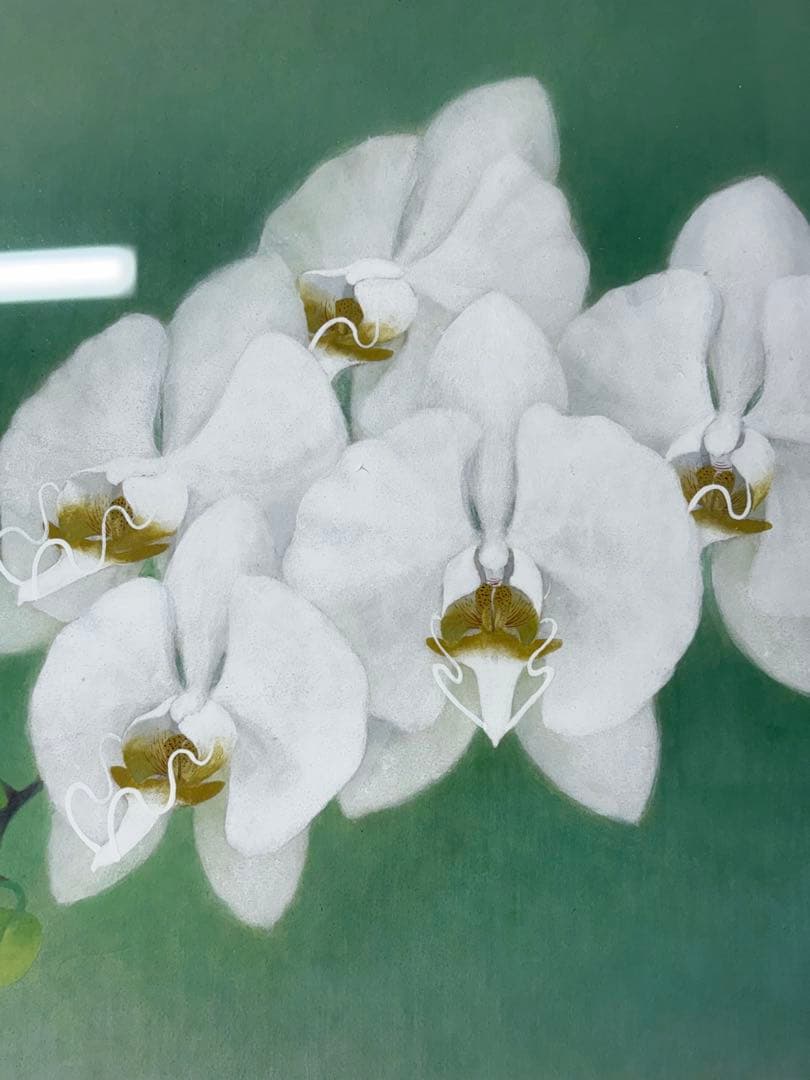 「胡蝶蘭」　下島洋貫　絵画　日本画　風景画　額装　共シール　箱袋有り