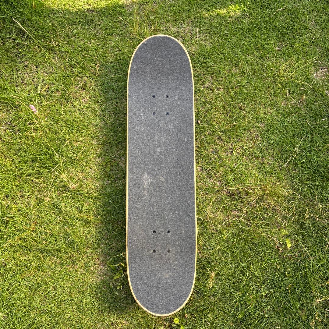 スケートボード SANTACRUZ