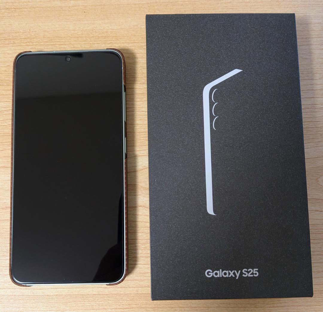 【美品】Samsung Galaxy S25 256GB ミント ＋ ケース