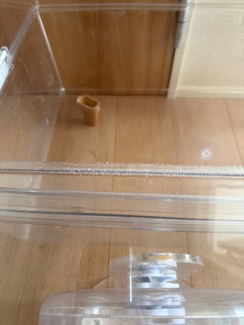 BUCATSTATE ケージ セット