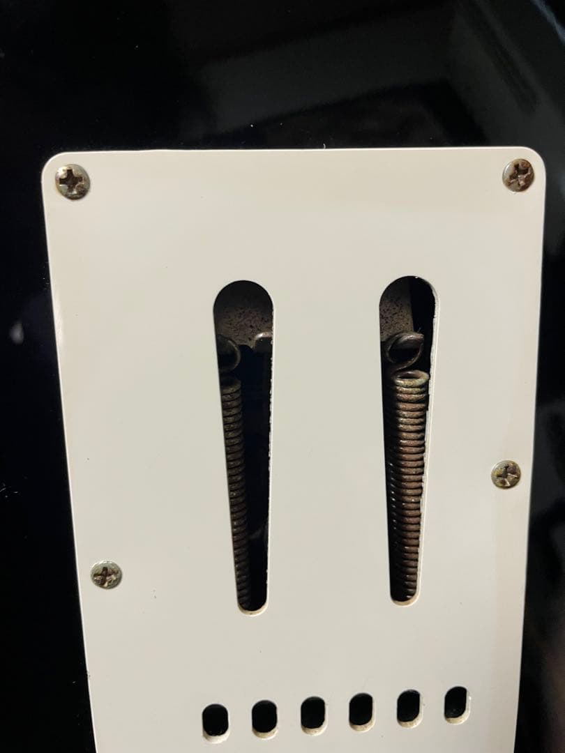 スクワイヤー　ジャグマスター