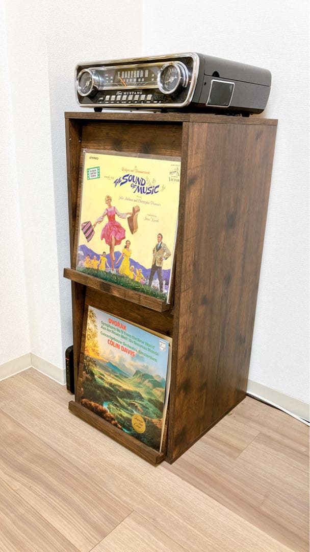 【こうめおじりん】レコードディスプレイキャビネット