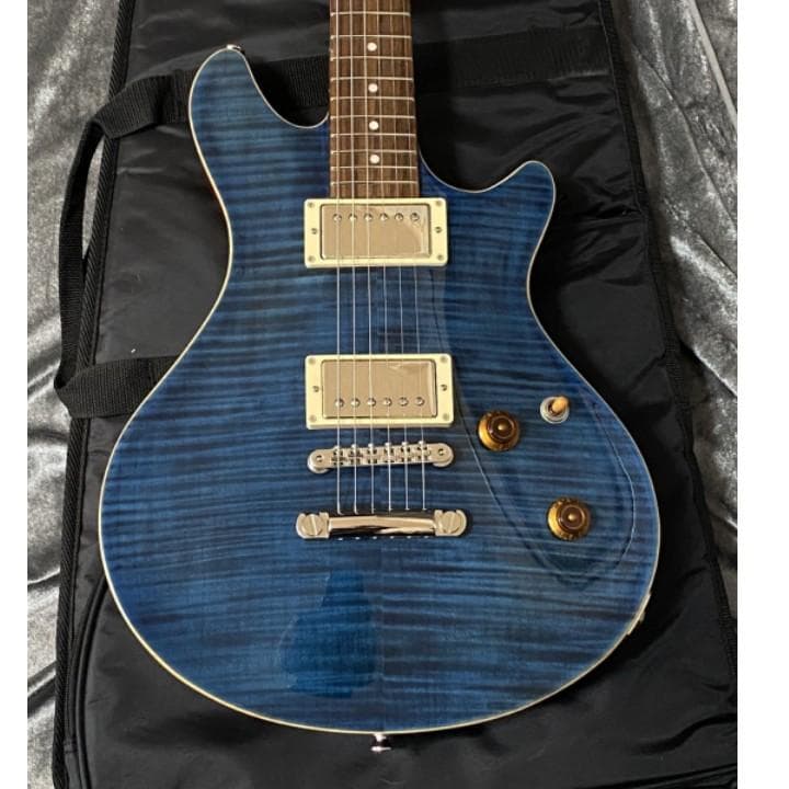 EDWARDS E-PO-100D Seymour Duncan PU搭載