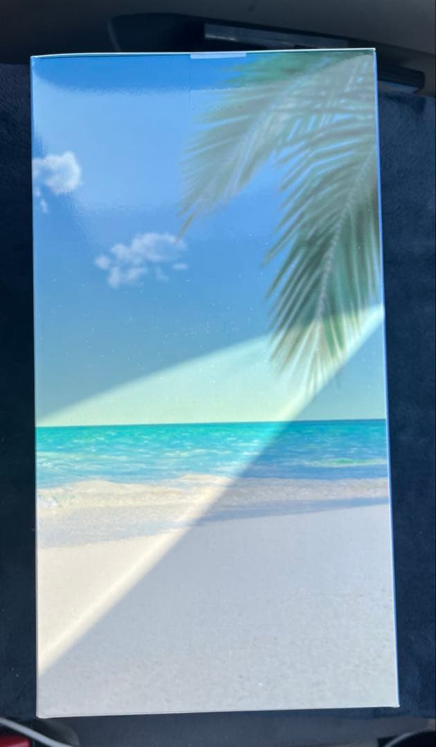 Fate/Grand Order　一番くじ　C賞　テノチティトラン　フィギュア