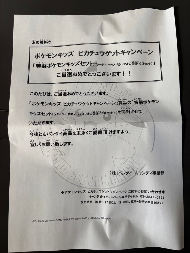 N*a様 特製ポケモンキッズ3体セット色違い当選品　新品未使用品