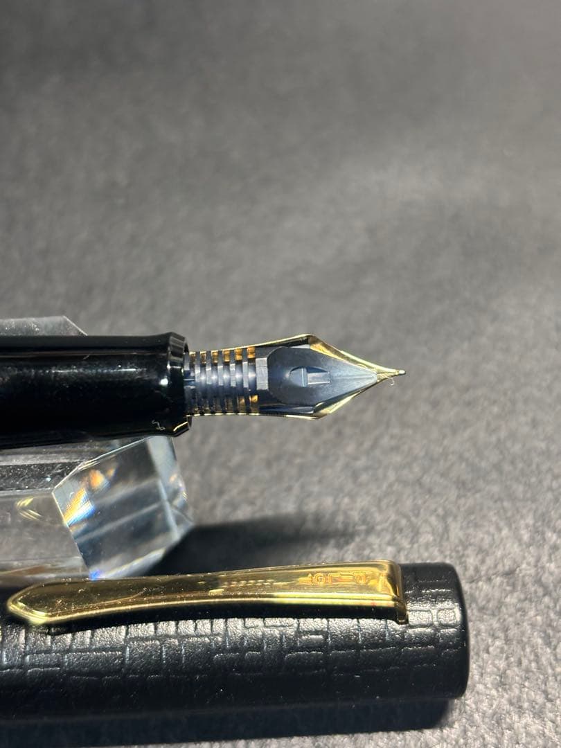 パイロット廃盤漆石目細字F