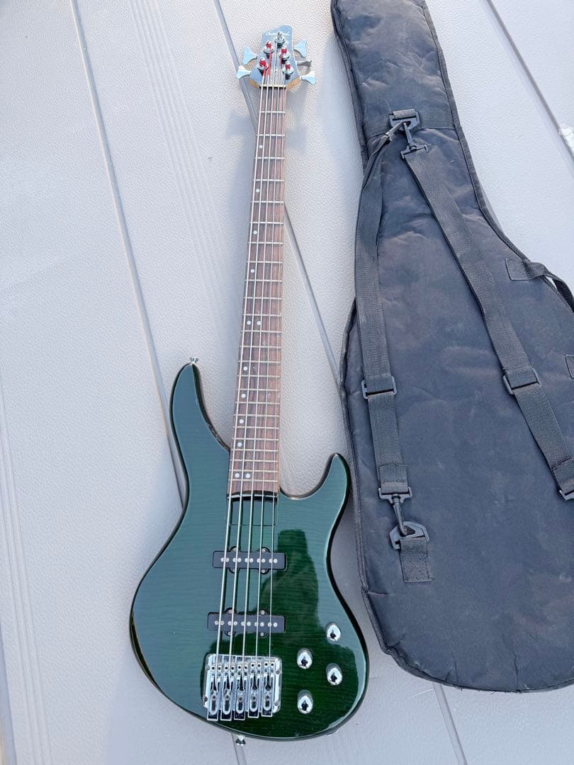 Chatting Bird チャッティングバード5弦エレキベース ギグバッグ付き