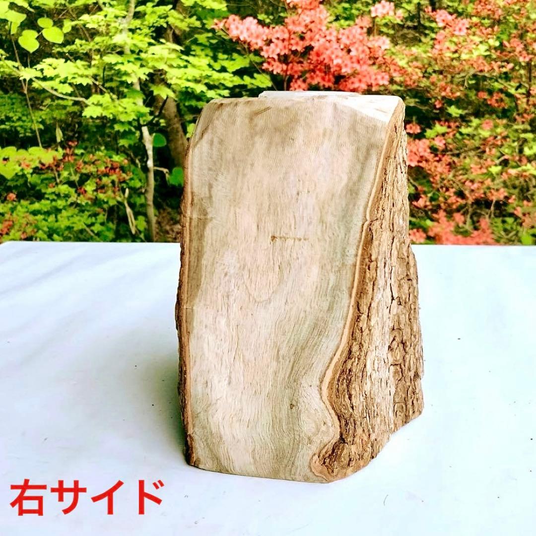 あ様 リクエスト 2点 まとめ商品　隠れ家　樹洞　クワリウム　エサ皿　クワガタ