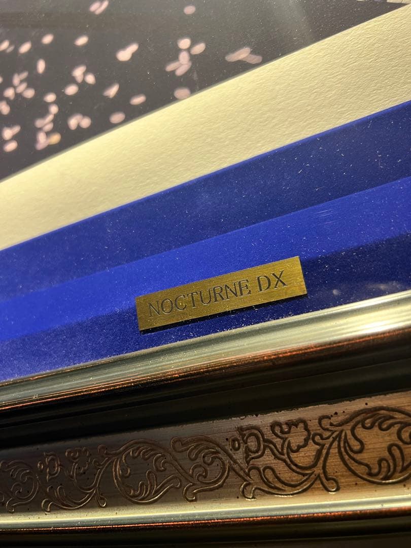 西又葵【NOCTURNE DX】55限定