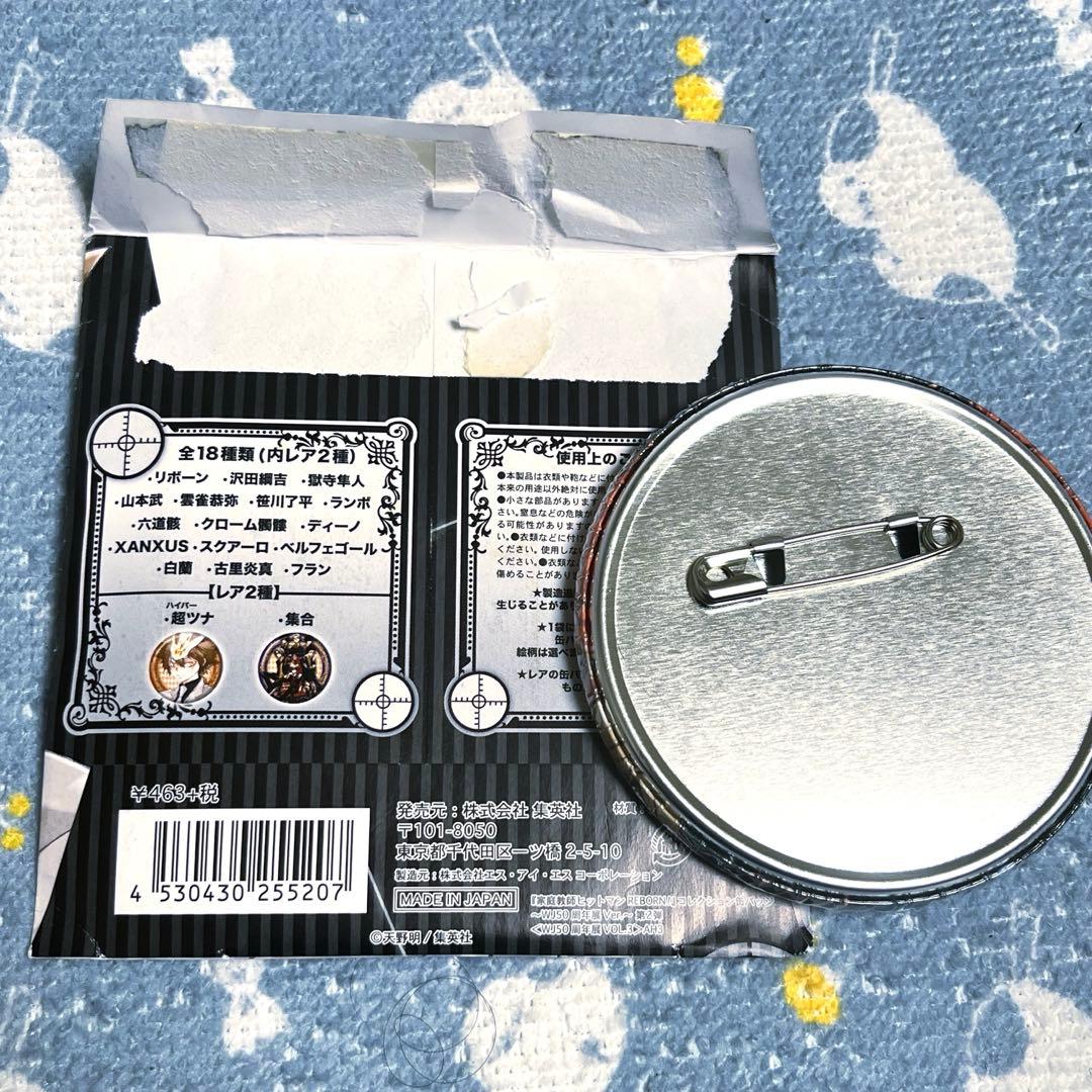 家庭教師ヒットマンREBORN! コレクション缶バッジ 第2弾 ザンザス