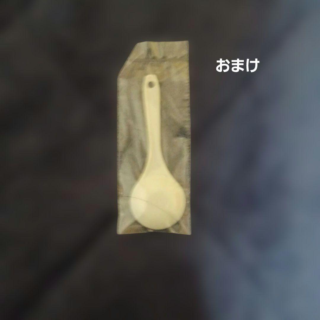 Dr.Dental　Wan　歯磨き&歯ブラシ　セット おまけ付き！！