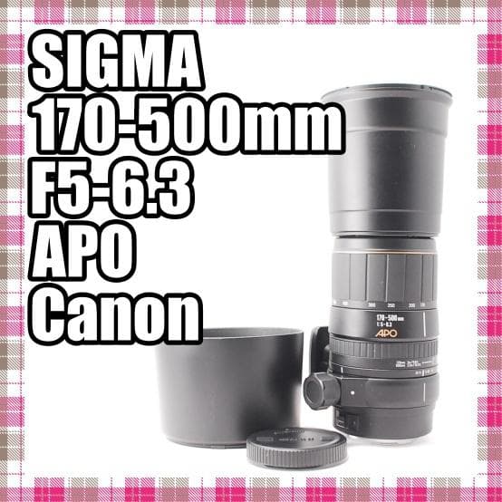 ✨超美品✨SIGMA 170-500mm F5-6.3 APO Canon