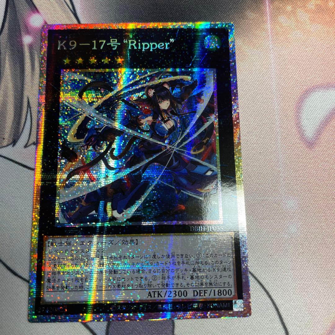 K9-17号Ripper 　プリズマ　プリシク アジア