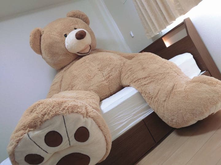 【即購入可】レア！コストコ　クマ　2m40cm