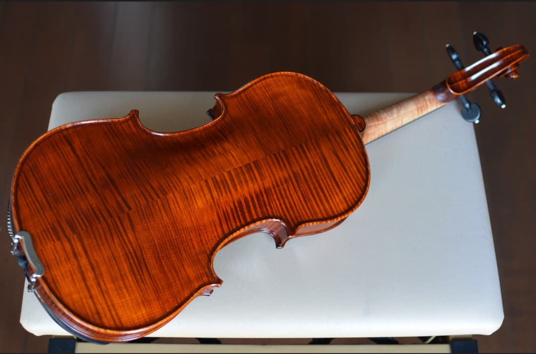 【新品】Gliga Cristian Maestro 4/4 そうちゃん