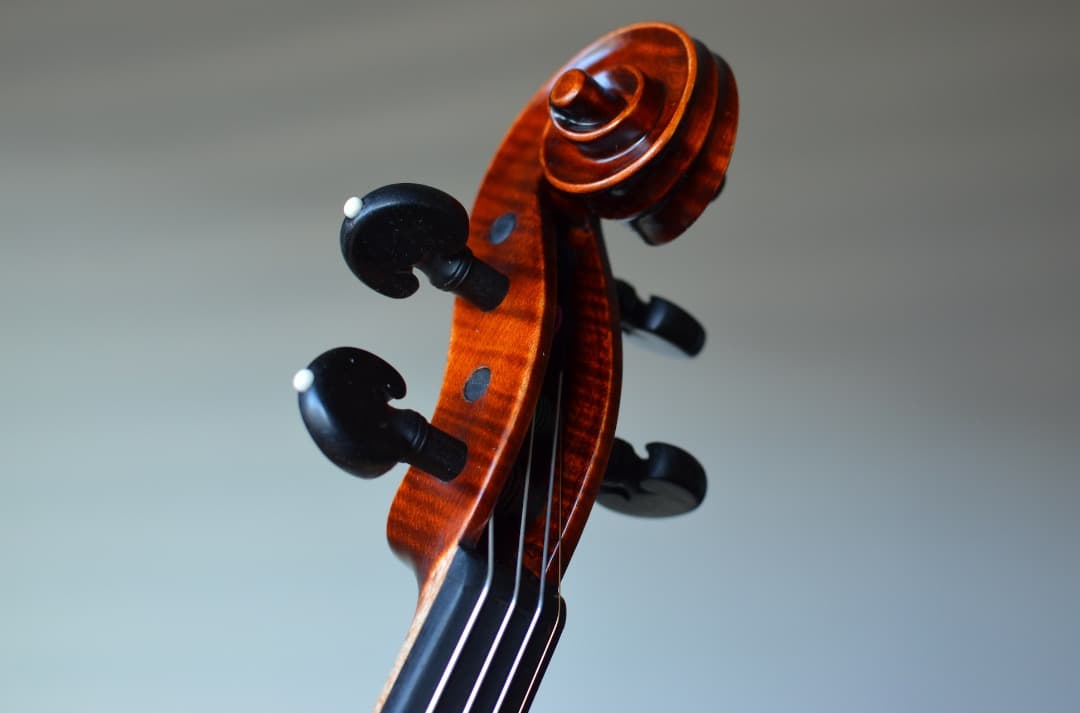 【新品】Gliga Cristian Maestro 4/4 そうちゃん