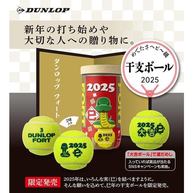 【新品】ダンロップ フォート 干支ボール 2025年「巳」　1箱60球