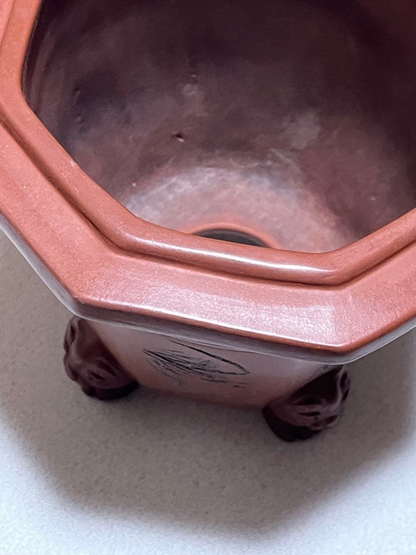 盆栽鉢　植木鉢　蘭鉢　陶芸　園芸　盆栽