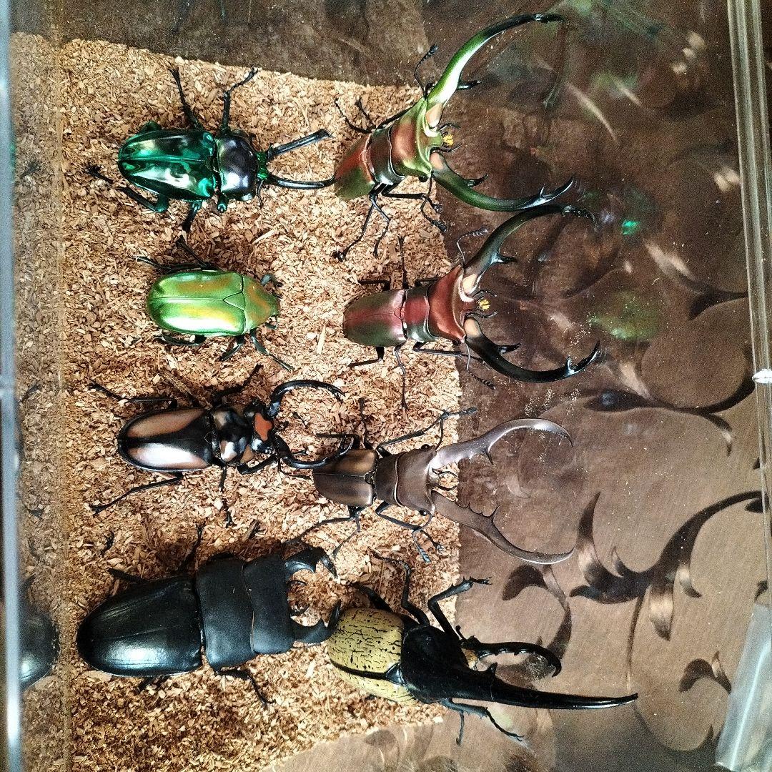 昆虫大図鑑、エラフスホソアカクワガタ、ギラファ等、ヘラクレスオオカブト