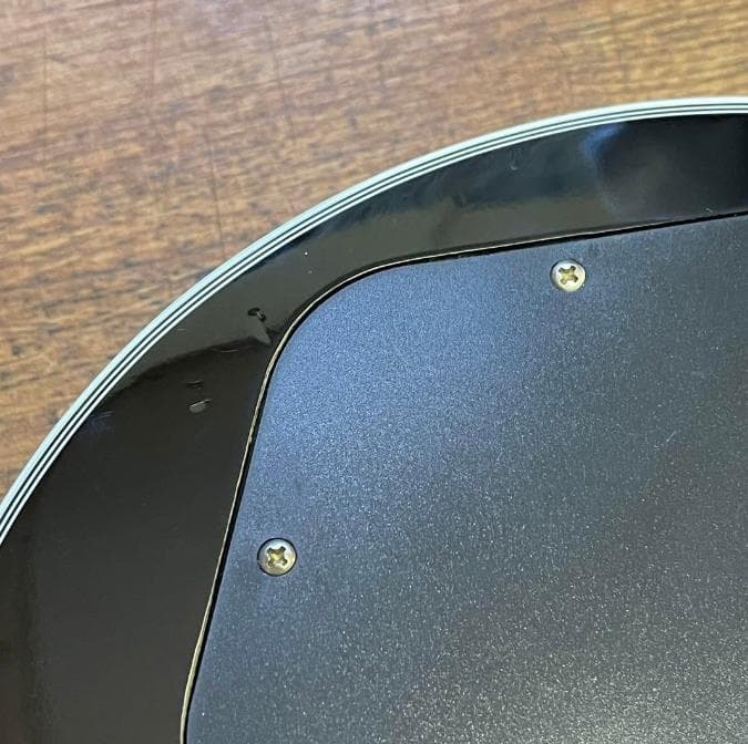 GrassRoots G-LP-55C Les Paul Custom 他