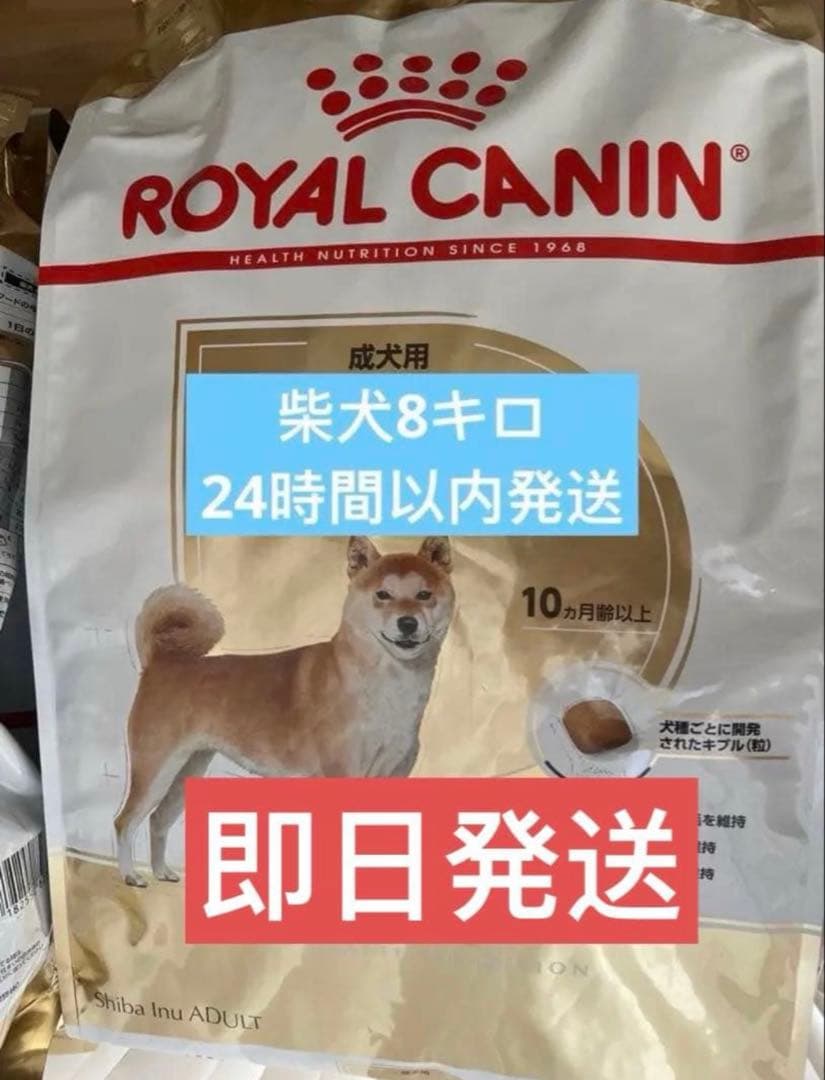  CANIN 柴犬用 ドライフード 8kg